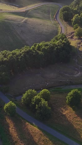 aerial view of a serene rural landscape with rolling hills and trees