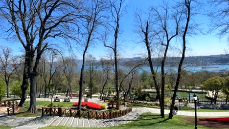 istanbul tulip festival.