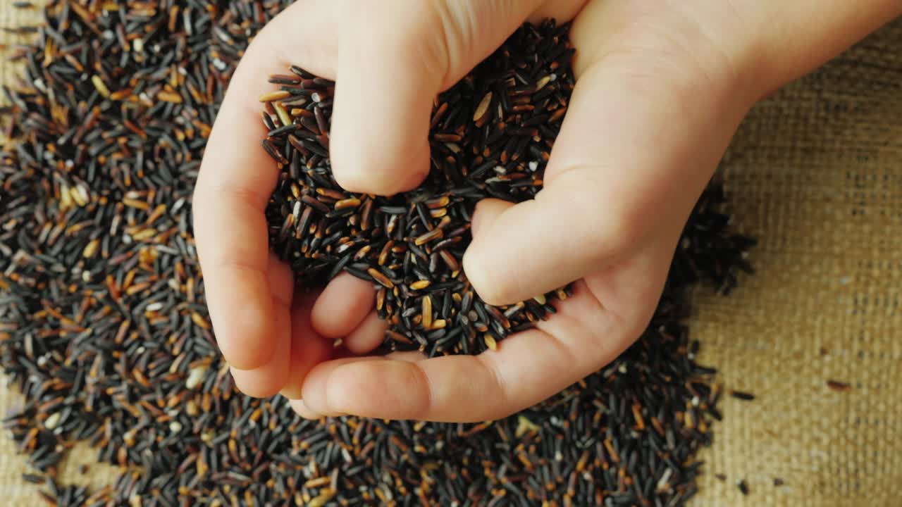 어린이 의 손 은 검은  곡물 을 들고 있다