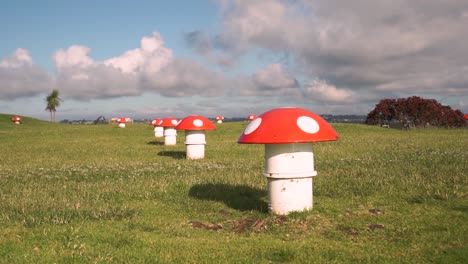 SLOWMO---Toadstools-on-top-of-Mount-Victoria,-Auckland,-New-Zealand