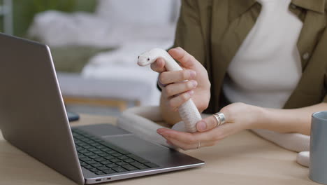 close up of an unrecognizable woman holding a white pet snake while sitting at table with a laptop computer at home