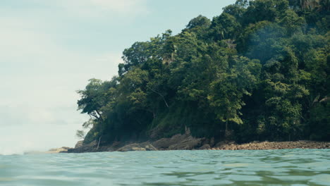A coastal view with lush vegetation and clear water