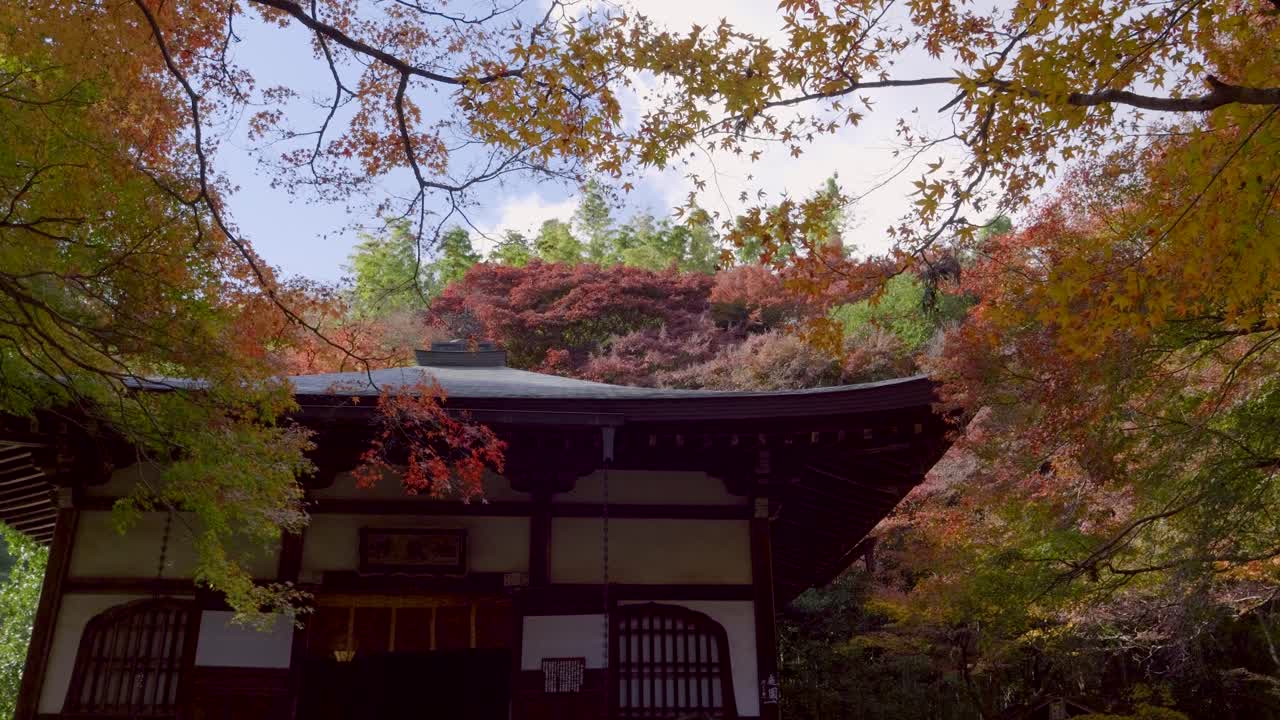 Stunning scenery at typical Japanese shrine with vibrant fall colors