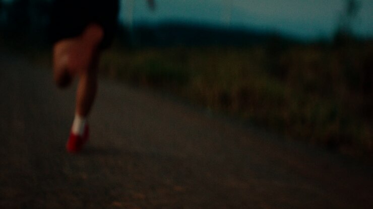 Blurred figure in the twilight landscape