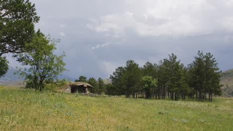 Old-stone-dugout-hut-next-to-tree-grove-in-georgian-meadow-countryside