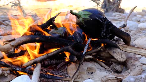 fresh eggplant aubergine vegetables cooking on open camp fire in flames outdoors next to a river in natural wilderness environment