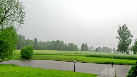 Pond-with-jetty-by-lush-green-fields-on-rainy-day