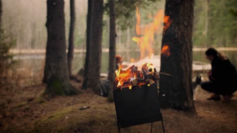 bonfire, fire flames in barbecue. campsite in the background. daytime.