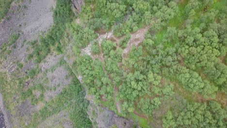 Altos-Acantilados-Que-Se-Elevan-Y-El-Bosque-Es-Un-Lugar-Tranquilo,-Relájese