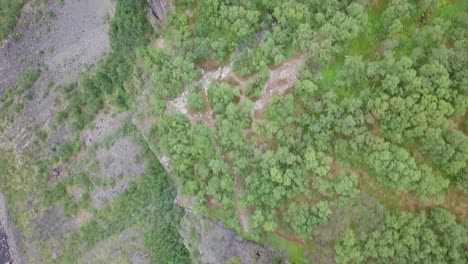 los altos acantilados se elevan y el bosque es un lugar tranquilo y relajante.