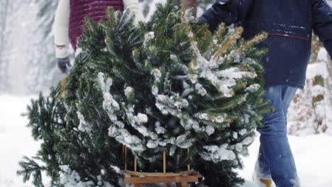 family preparing for christmas time