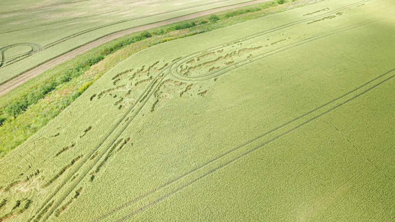 Grain Crop circle patterns revealed in aerial shot over green farmland