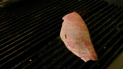 Push-in-past-metal-grill-wall-to-red-snapper-fish-fillet-roasting-and-cooking