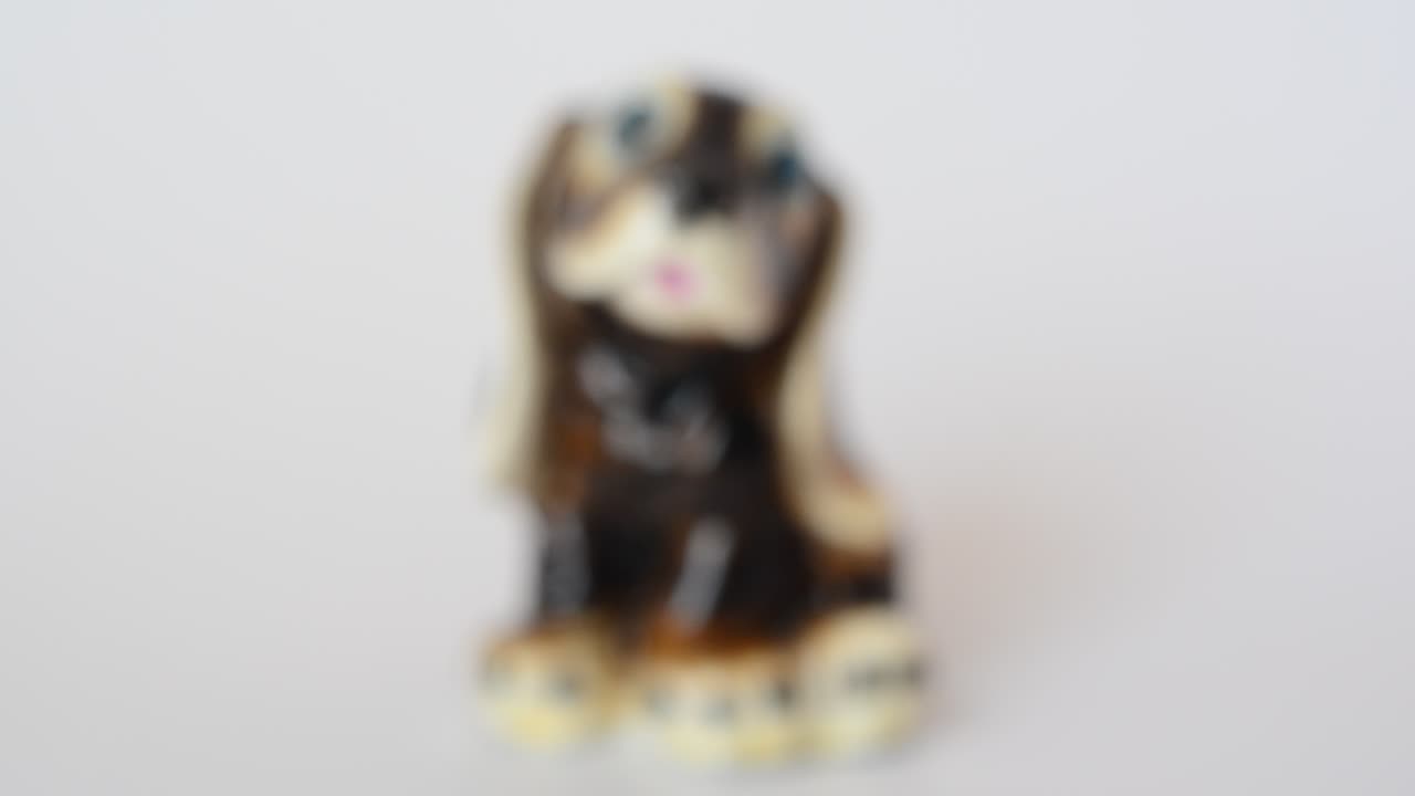 Ripresa di una statuetta di spaniel. Ripresa di una statuetta