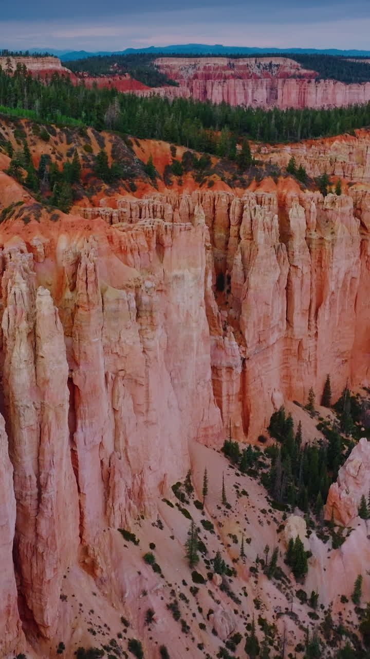 Fascinating coral rocks of Bruce Canyon National Park in Utah, USA. Pine trees growing on top of the mountains. Vertical video