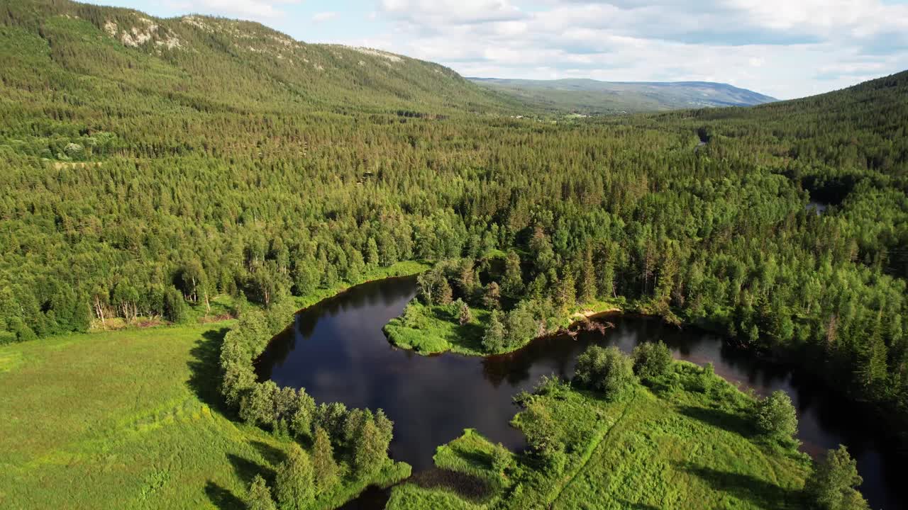 River Surrounded By Lush Green Forest And Meadow In Summer