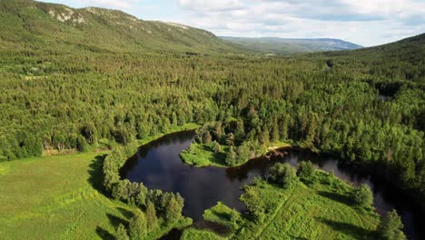 río rodeado de exuberante bosque verde y prado en verano