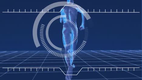 animación digital de la carrera de esqueletos