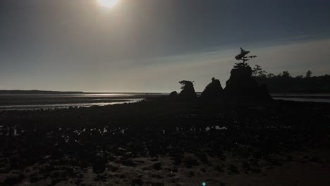 4k handheld footage of a rocky beach in oregon, usa at low tide and sunset-1