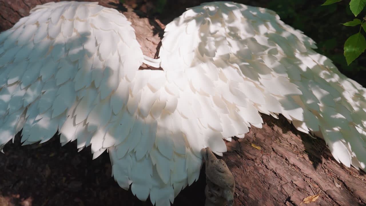 Top view of white angel wings resting on forest log, sunlight highlighting layered feathers and natural textures, surrounded by green foliage, evoking purity