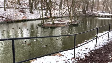 Draußen-Schneit-Es-Auf-Dem-Ententeich-Im-Park