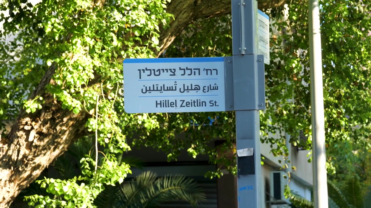 Cartello stradale di Hillel Zeitlin Street a Tel Aviv, Israele, circondato dal verde, inquadratura di apertura, identità del quartiere urbano e guide della città.