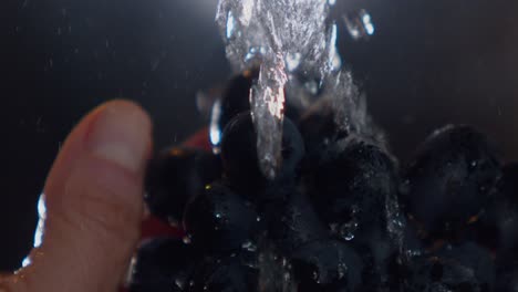 washing fresh black grapes