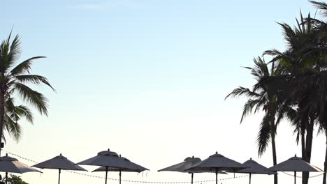 un cielo tropical está enmarcado por palmeras y sombrillas de playa