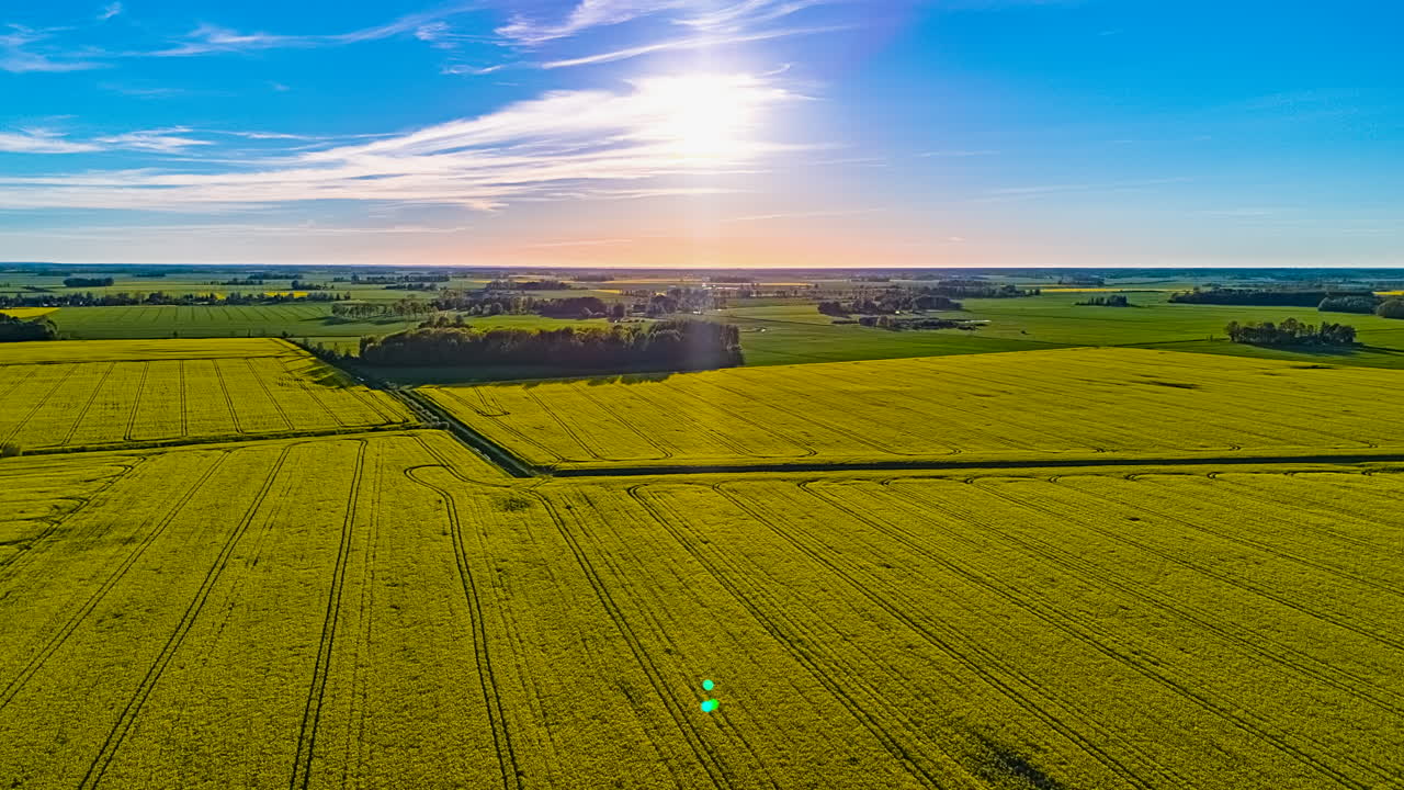 Fly Over Vast Rapeseed Fields In The Countryside During Sunset. Hyperlapse