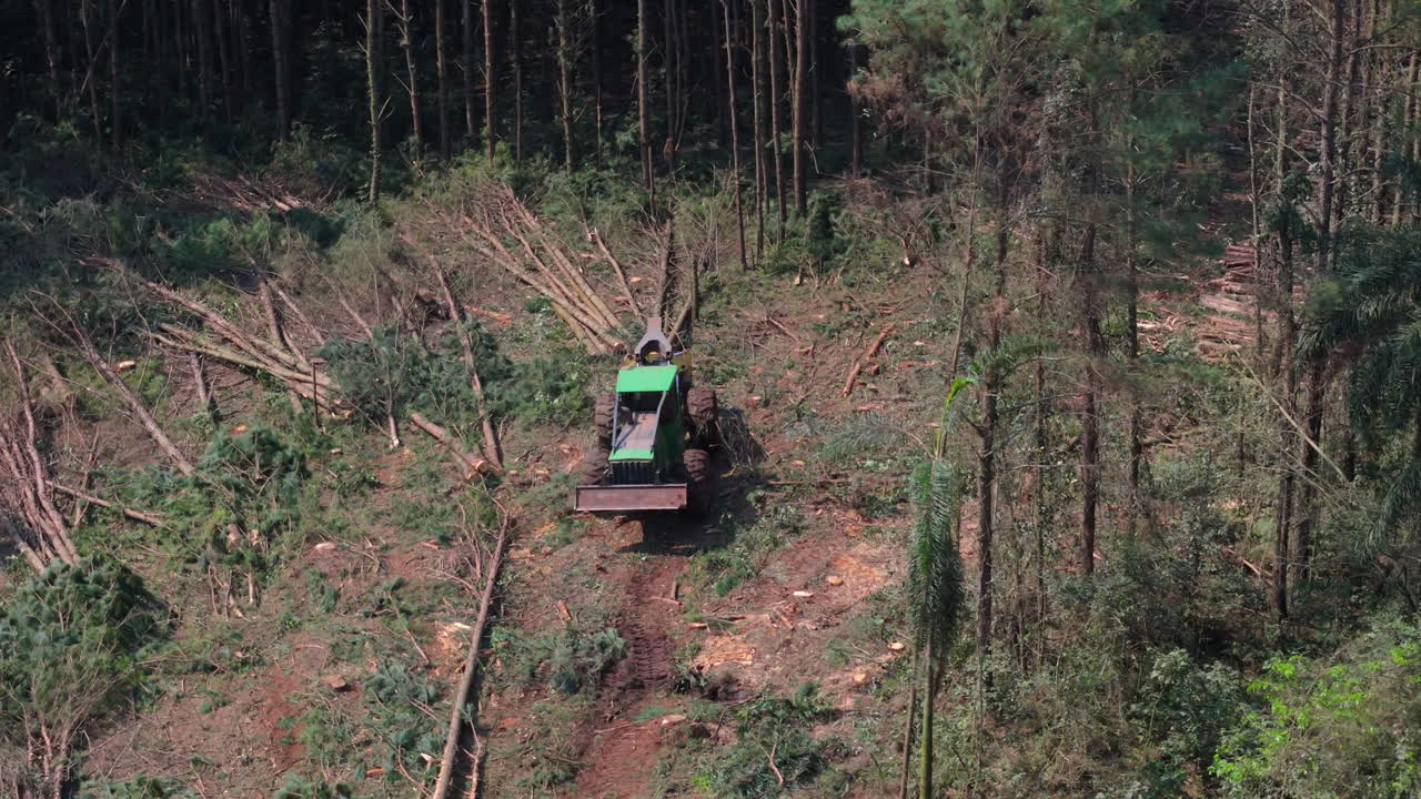 Aerial tracking left reveals harvester machine working in forest clearing, surrounded by stumps and scattered vegetation, clearcutting destruction