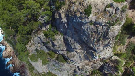 Aerial View of Coastal Cliffs and Tower