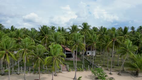 Liegestühle-Und-Luxusresort,-Umgeben-Von-Palmen-Am-Strand-Von-Nacpan