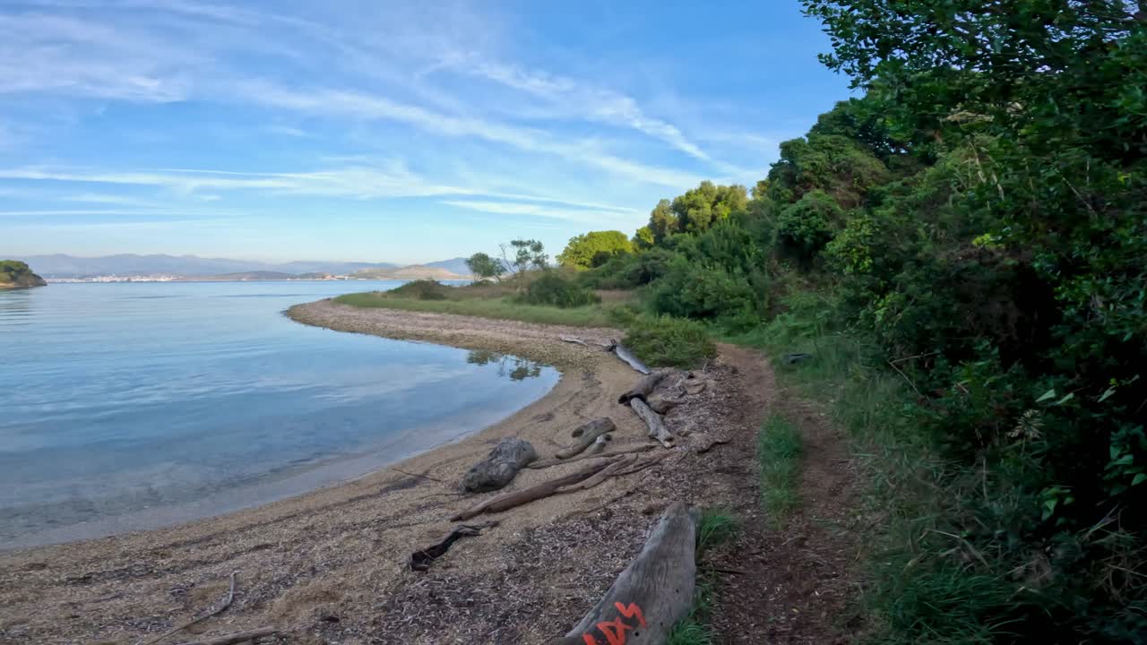 POV Ripresa a spalla lungo la costa di ciottoli con legni spiaggiati e vegetazione verde sotto un cielo estivo blu
