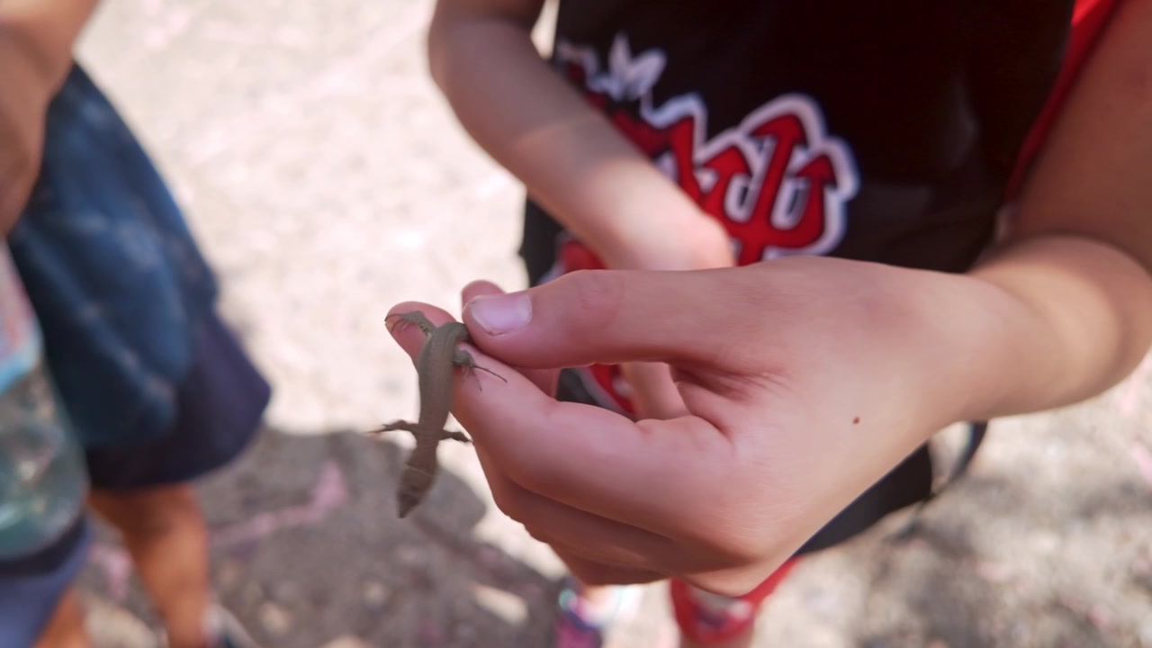Criança curiosa segurando um pequeno lagarto na mão