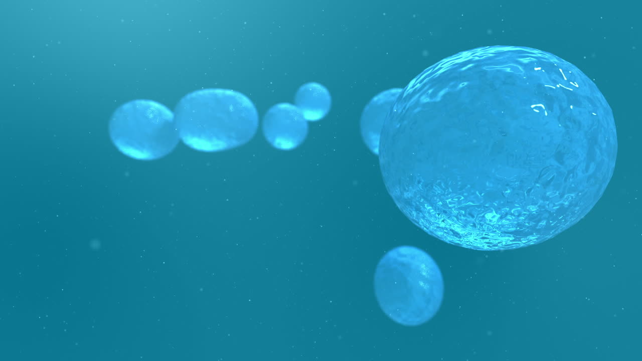 블루 라이트 볼의 비디오