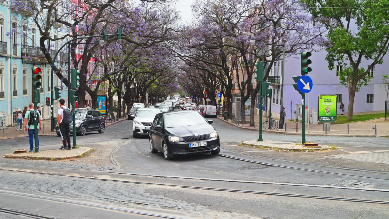 리스본의 거리 장면과 자카란다 나무