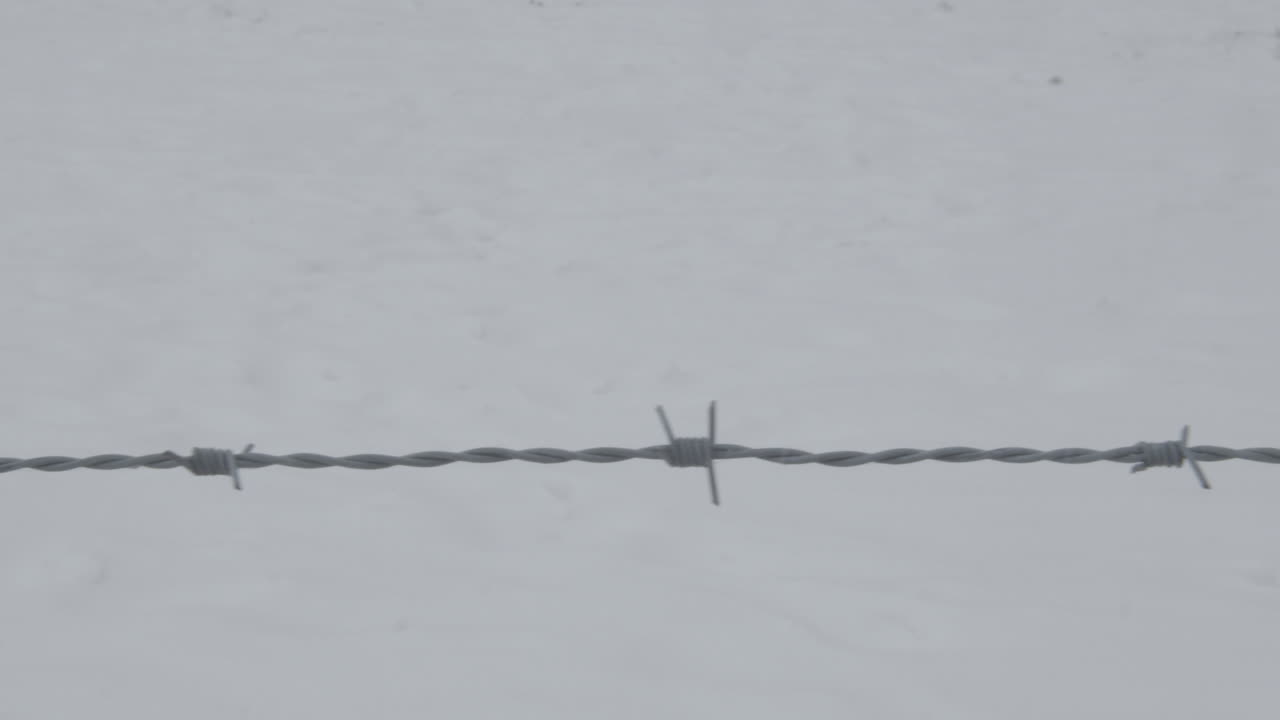 배경에 눈이 있는 철조망 위의 돌리