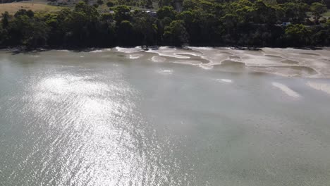 Drone-aerial-pan-down-over-clear-water-and-sandy-beach-in-Tasmania