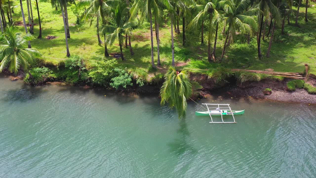 persona saludando en la copa inclinada de una palmera en la orilla del río san bernardo, sur de leyte, filipinas
