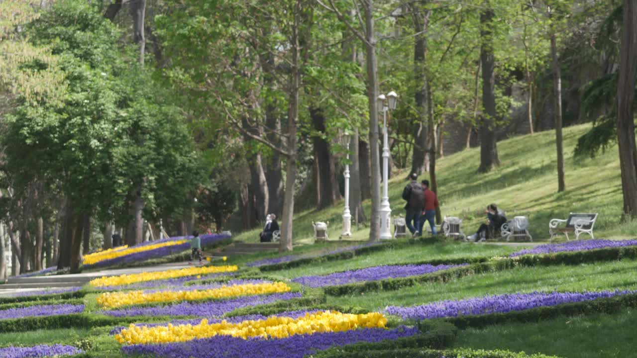 봄이 시작될 때 이스탄불의 공원을 산책하는 사람들
