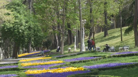 Gente-Caminando-En-Un-Parque-En-Estambul-A-Principios-De-Primavera