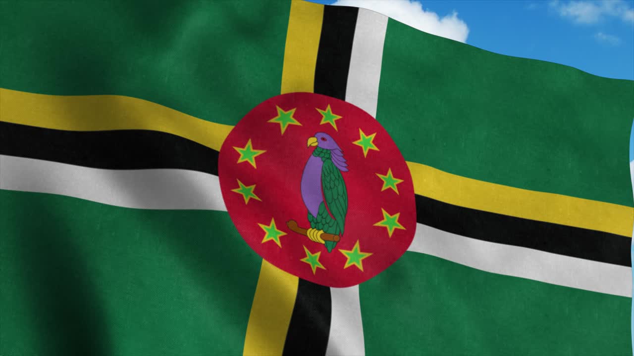 바람에 흔들리는 도미니카 발, 파란 하늘 배경