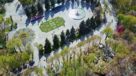 aerial shot of city park. aerial drone view of central city park