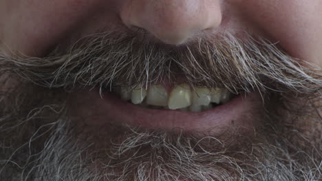 close up man mouth smiling cheerful teeth with beard facial hair dental health concept