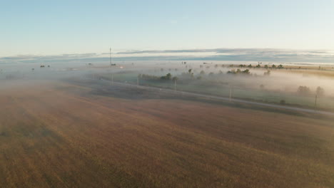 morning fog hangs in the trees and over fields of corn in wide farm fields