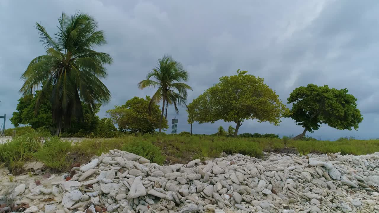 Paradise lonely caribbean island 180 degree, palms trees beach, house and white sand, los roques