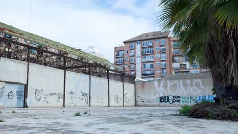 abandoned building with graffiti and palm tree