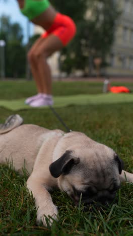 woman exercising outdoors with her pug dog