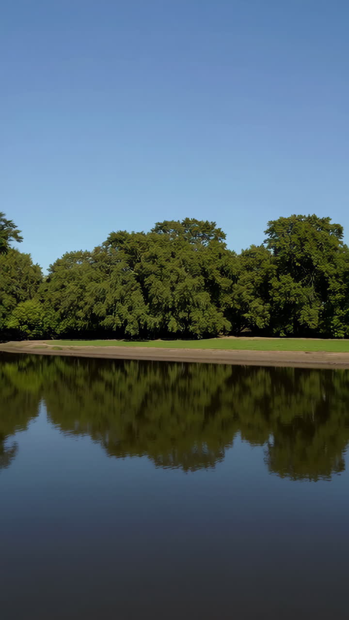River with trees and reflection