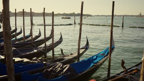 Gondolas,-typical-boats-from-Venice,-moving-on-the-water-in-the-lagoon-near-the-main-square